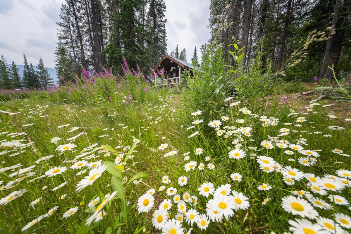 Storm Mountain Lodge & Cabins แคสเซิลจังก์ชัน ภายนอก รูปภาพ